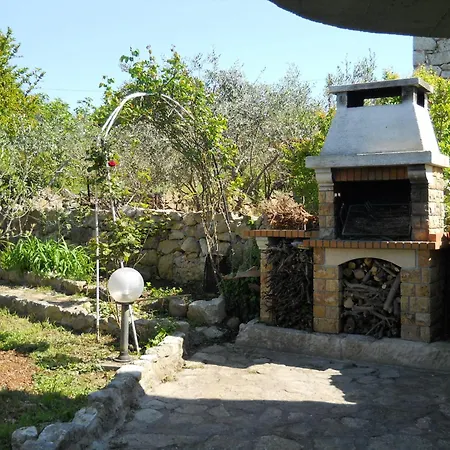 Apartment Branimir