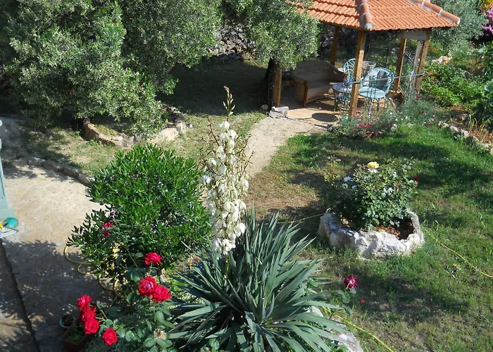 Apartment Branimir Zadar