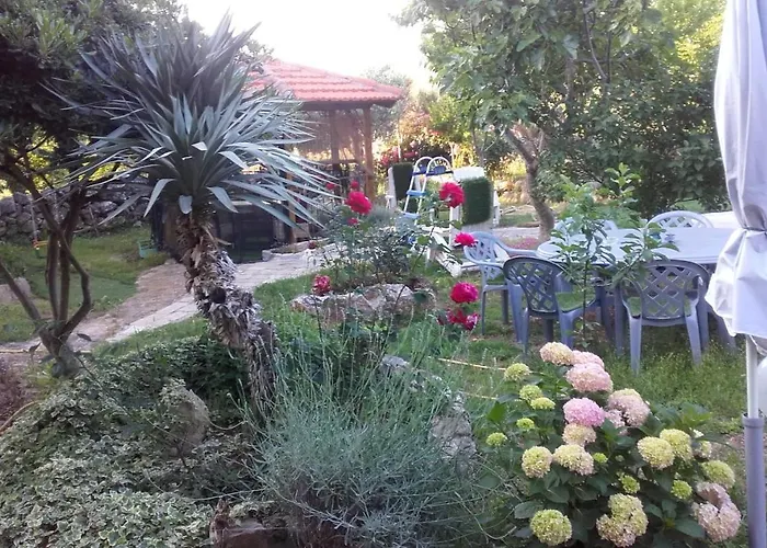 Branimir Apartament *