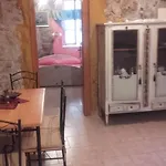 Branimir * Zára
