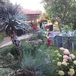 Branimir Apartman *