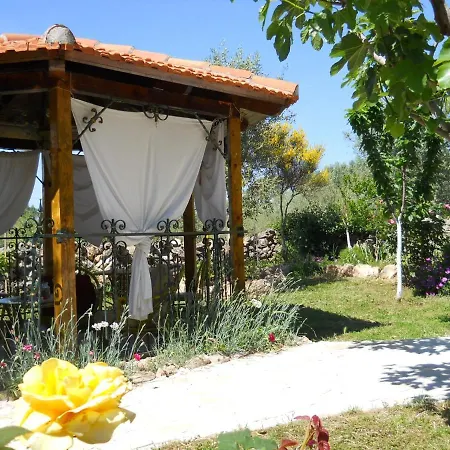 Branimir Apartamento