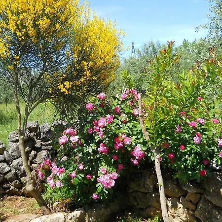 Branimir Apartamento