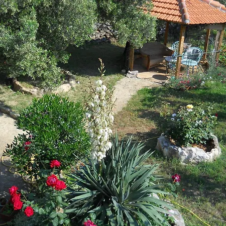 Apartamento Branimir Zadar