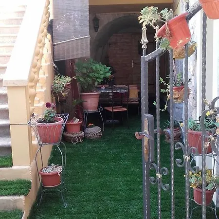 Apartment Branimir Zadar